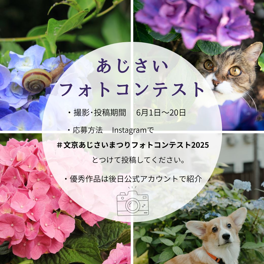 フォトコンテスト告知画像