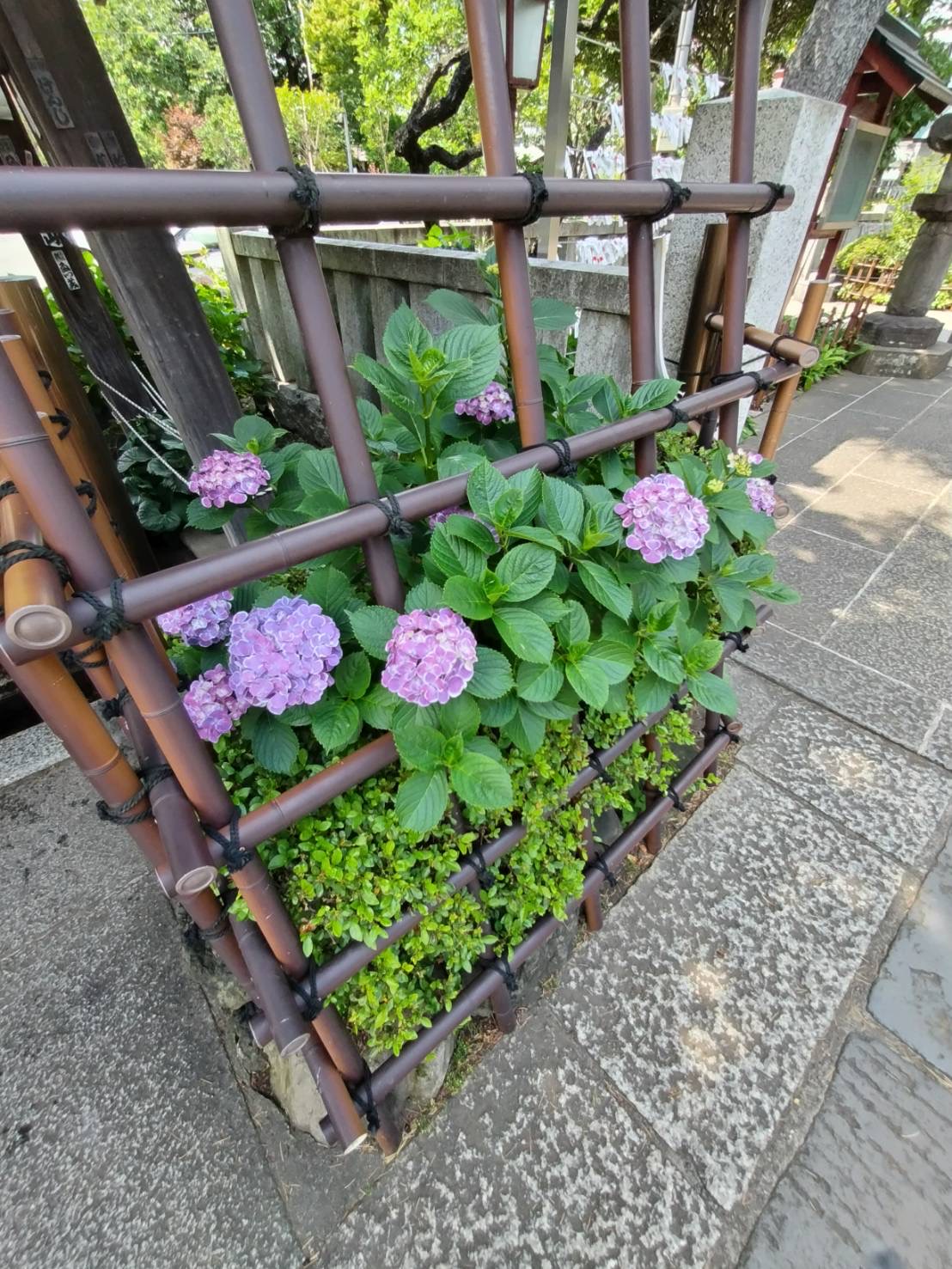 白山神社境內