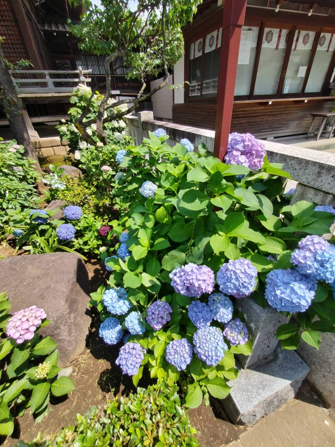 白山神社境內