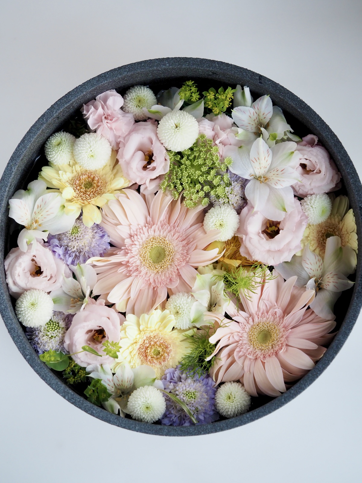 花手水の写真(プログラム)